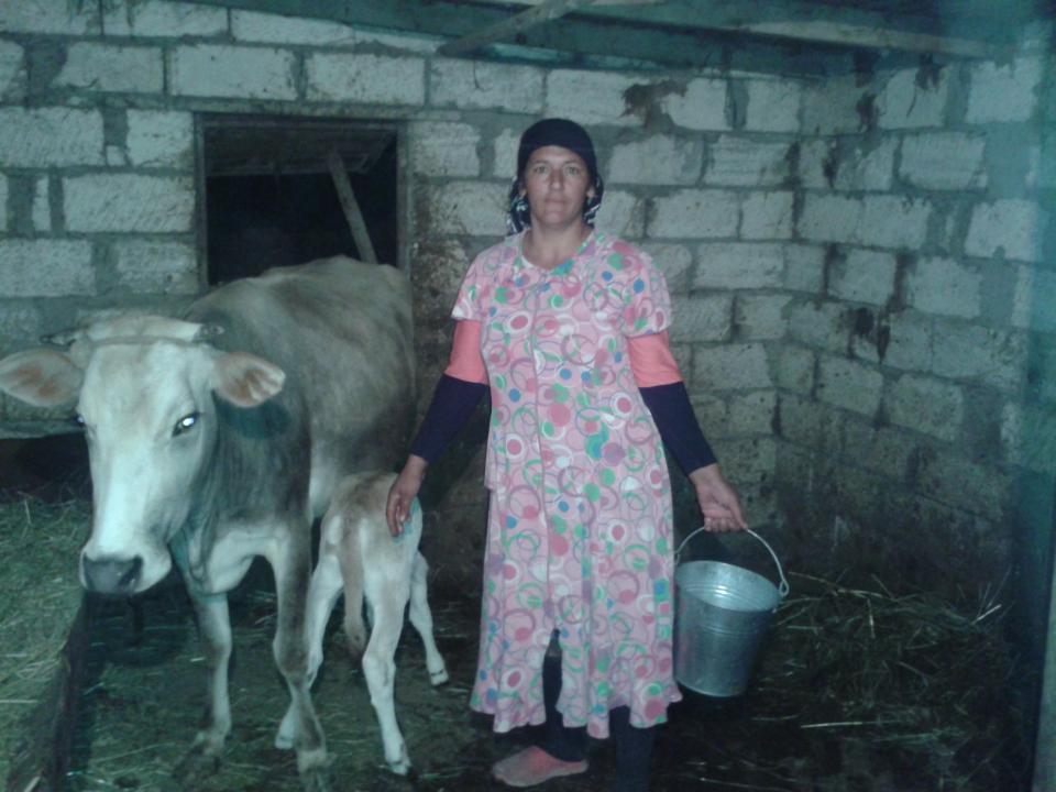 Borrower image